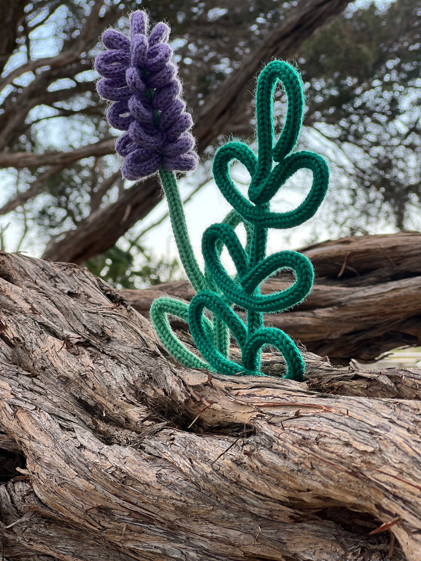 Lavender Stem