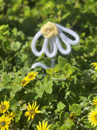 Dropsie Daisy