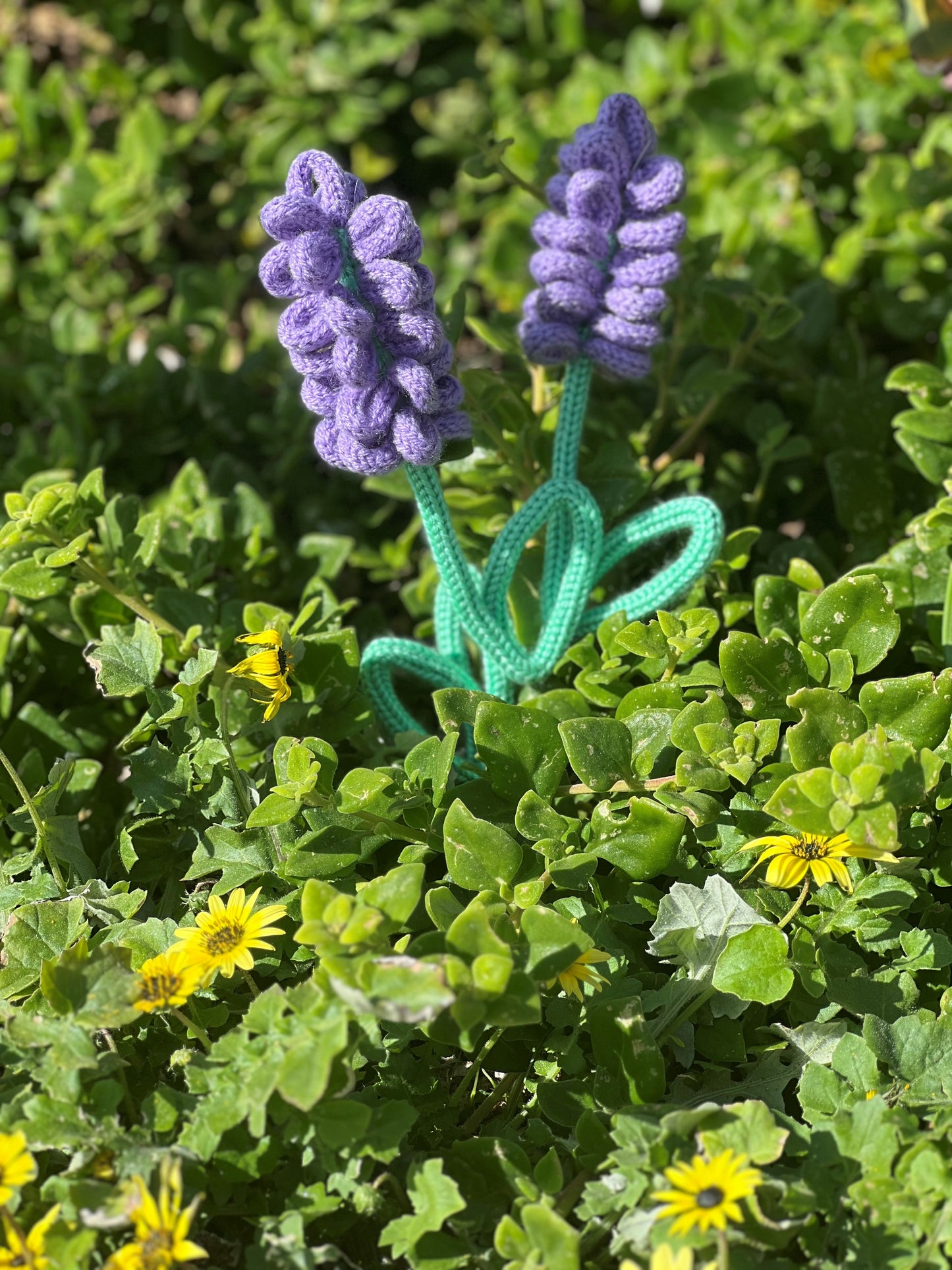 Lavender Stem