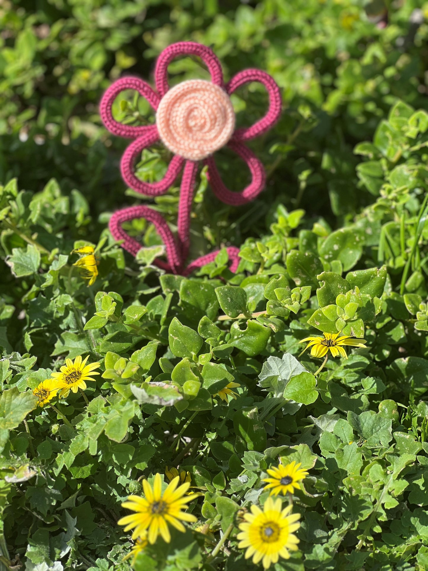 Round Flower