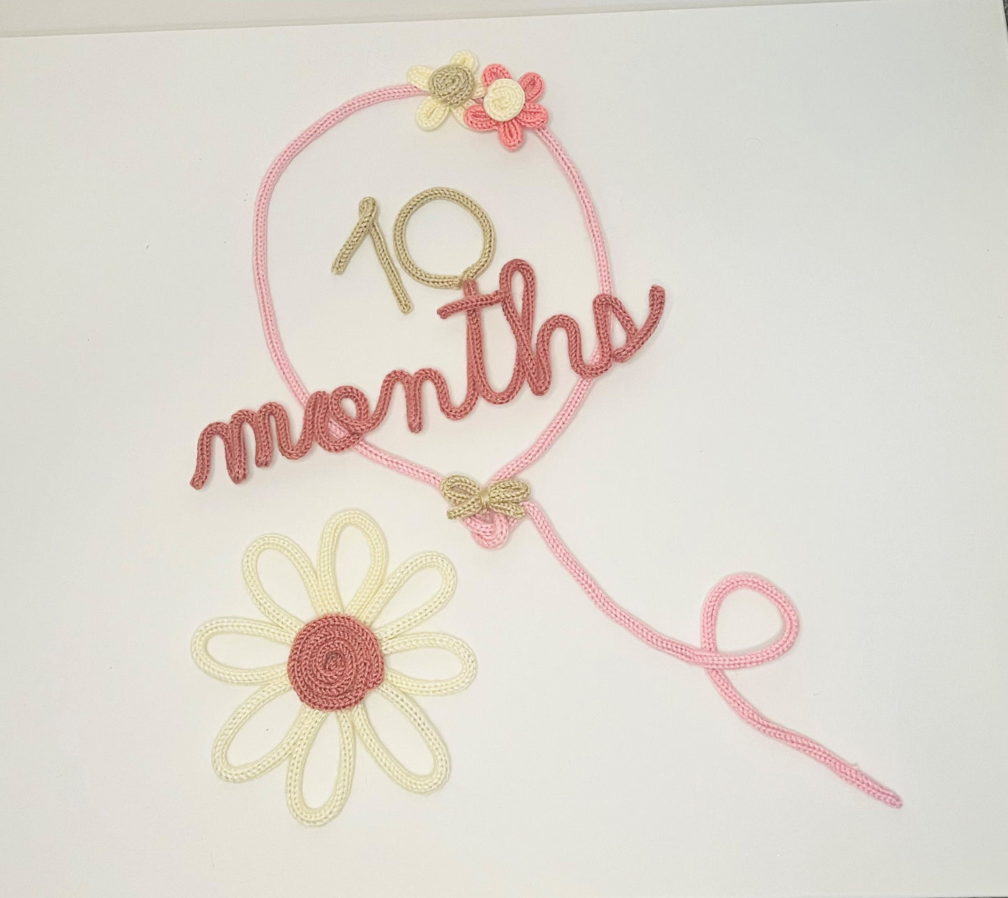 Baby Milestone Set