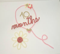 Baby Milestone Set