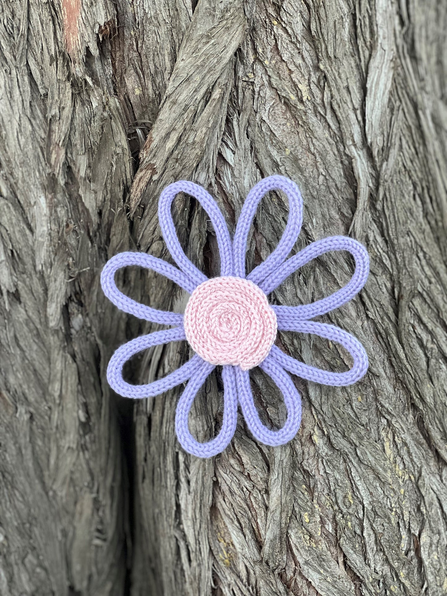 Daisy