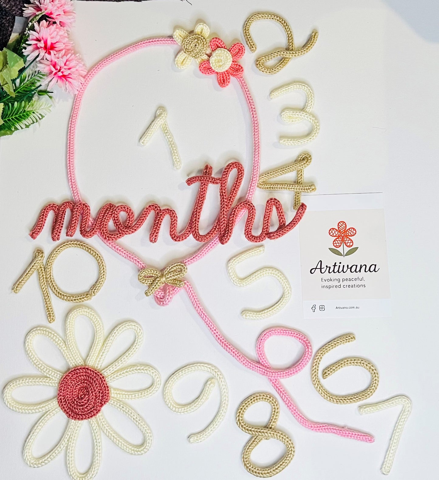 Baby Milestone Set